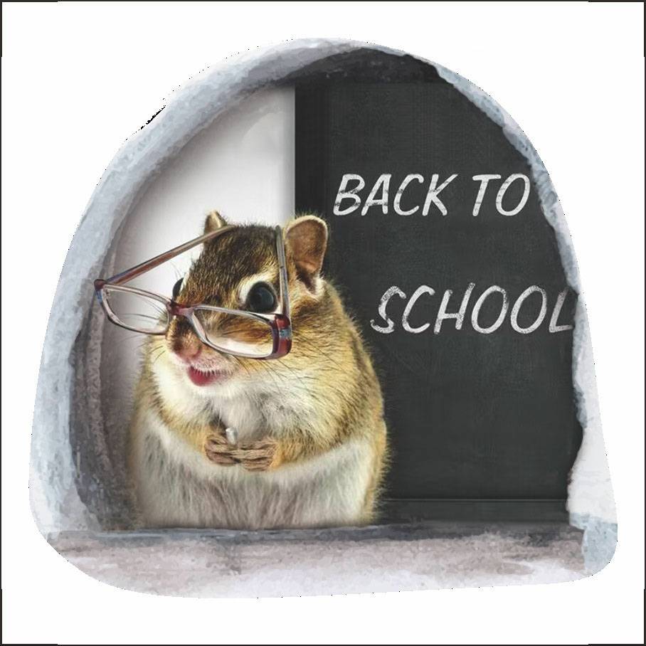 TR0007_martinhuset_US/H3020617G/H3020617G_6